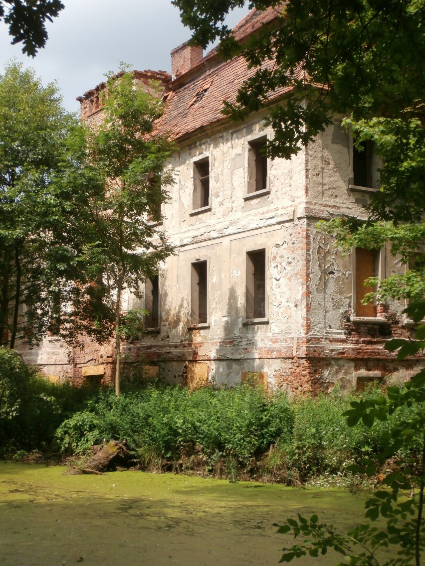 Studzieniec- Ruiny Pałacu