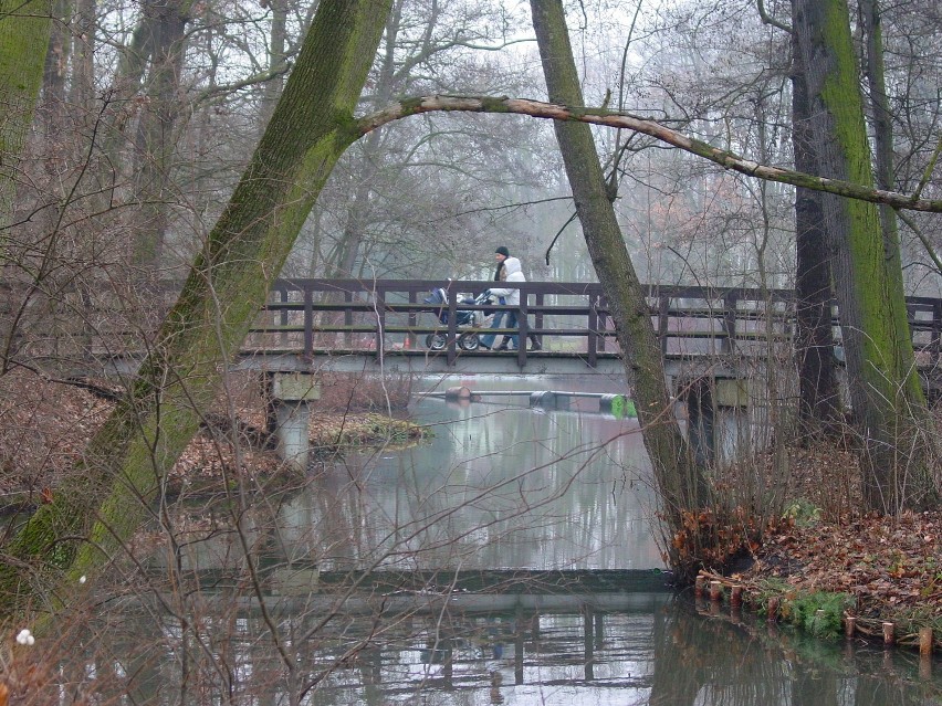 Park Sołacki to jeden z parków publicznych w Poznaniu, w...