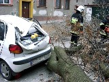 Czy wichury nawiedzą również woj. śląskie?