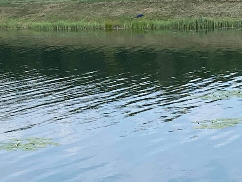 Kolejne miejsce do odpoczynku w gminie Korycin. Nad zalewem Szumowo-Olszanka będą nowe atrakcje