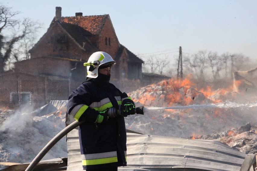 Ogromny pożar hali magazynowej w Ścinawie. Trwa akcja gaśnicza, zobaczcie zdjęcia