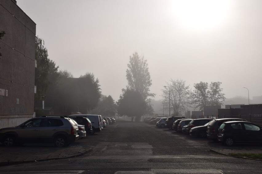 Pierwszy dzień jesieni i pierwsza jesienna mgła. Biały poranek w Koninie [ZDJĘCIA]