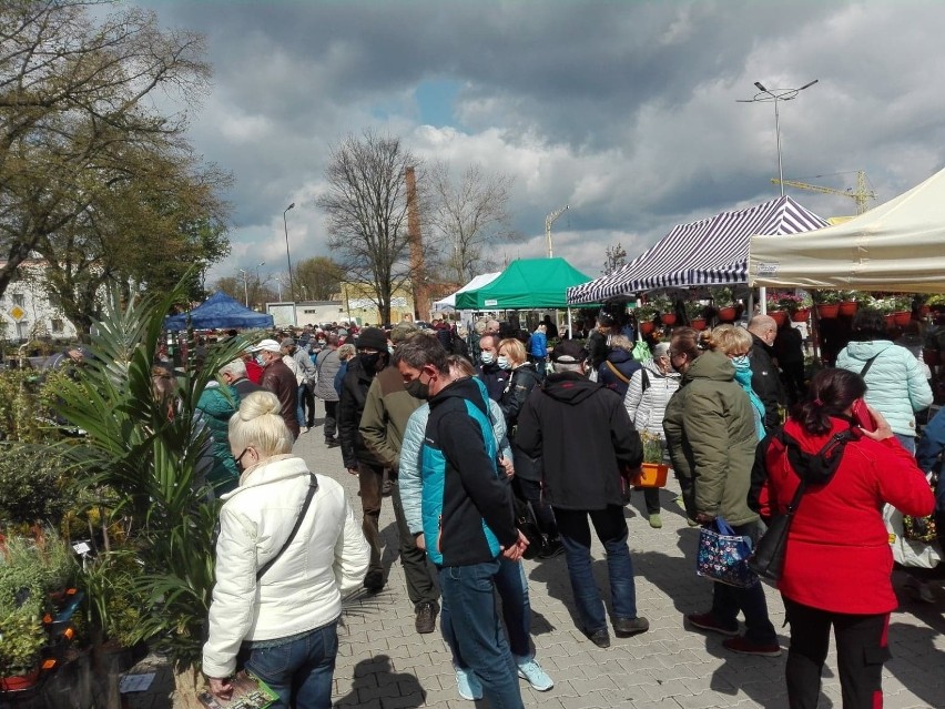 Pierwsza taka ładna sobota tej wiosny zachęciła nowosolan do...