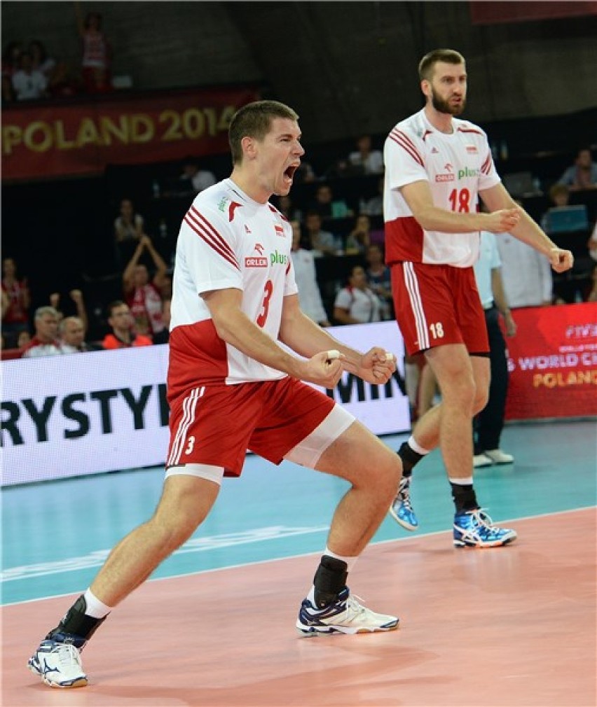 Mistrzostwa Świata 2014 w siatkówce: Polska - Kamerun 3:1
