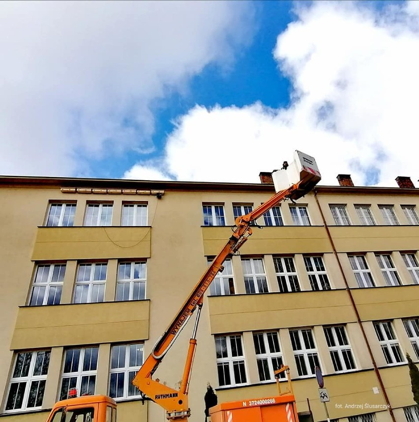 Budki dla jerzyków w Pruszczu już zamontowane. 400 domków gotowych do zasiedlenia