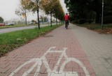 Ścieżki rowerowe w Kaliszu. Pasy dla pieszych pozwolą uniknąć niebezpiecznych sytuacji? ZDJĘCIA