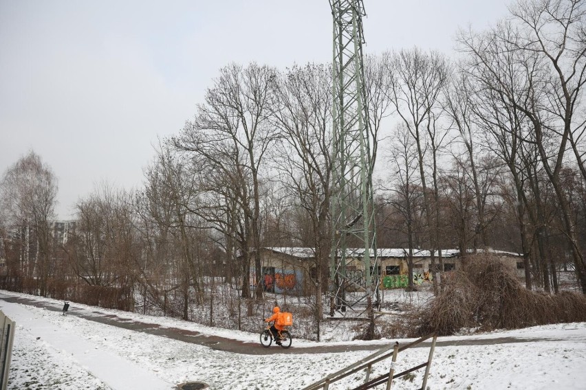 Park Grzegórzecki