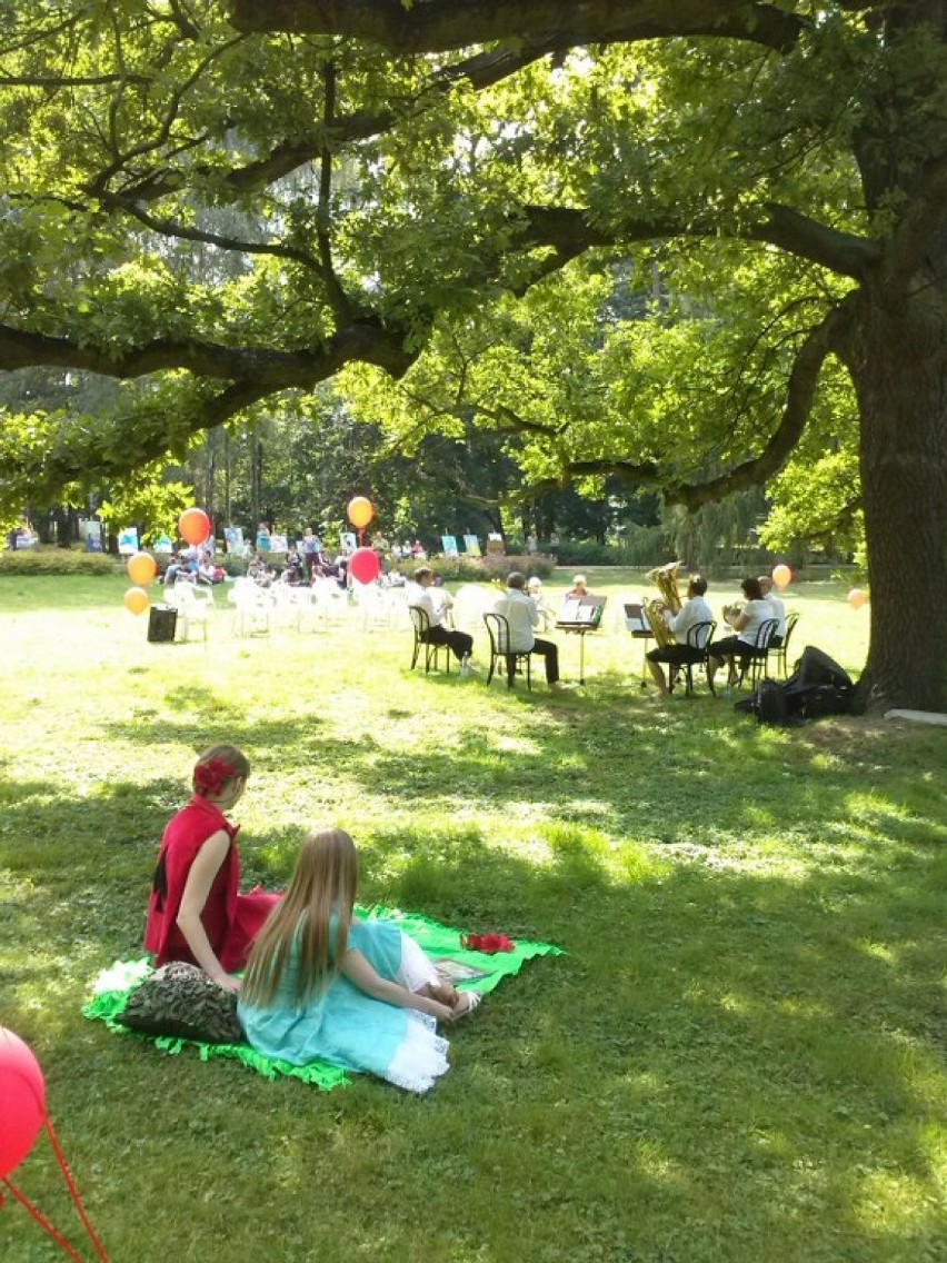 Kultura na trawie zagościła w Parku Miejskim
