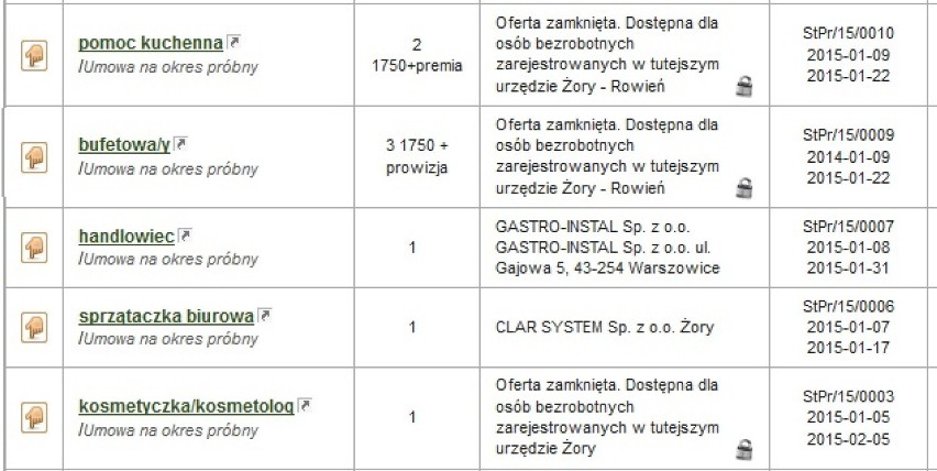 Oferty pracy Żory: Sprawdź, jakie są. Ile możesz zarobić?