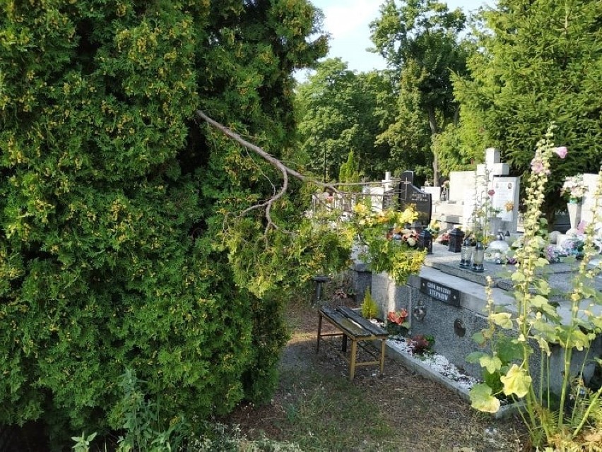 Mieszkańcy Włocławka apelują: O cmentarze komunalne powinno się lepiej dbać [zdjęcia]