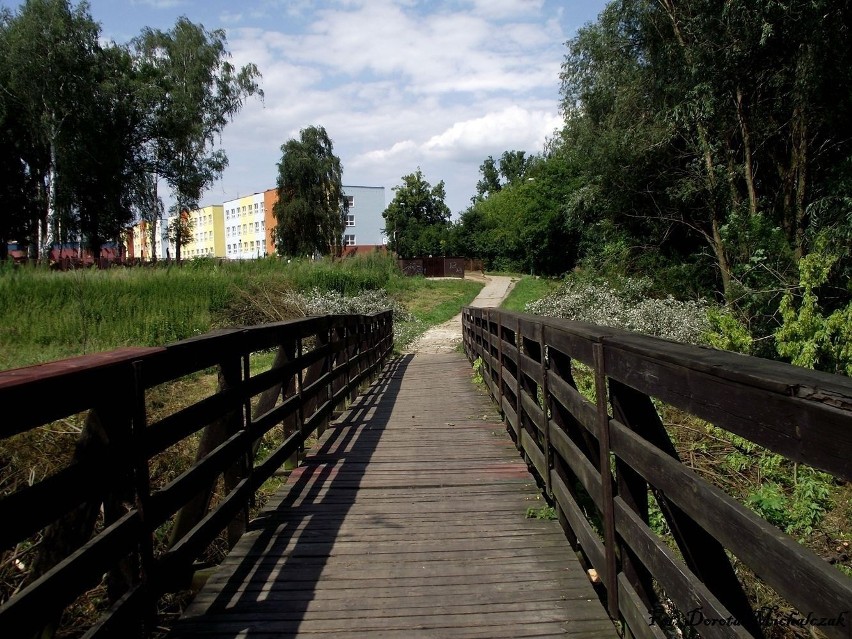 Tak było na początku sierpnia 2012r.

Fot. Dorota Michalczak