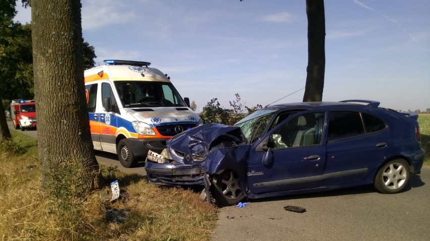 Wypadek w gminie Nowy Staw. Kierowca samochodu osobowego uderzył w drzewo