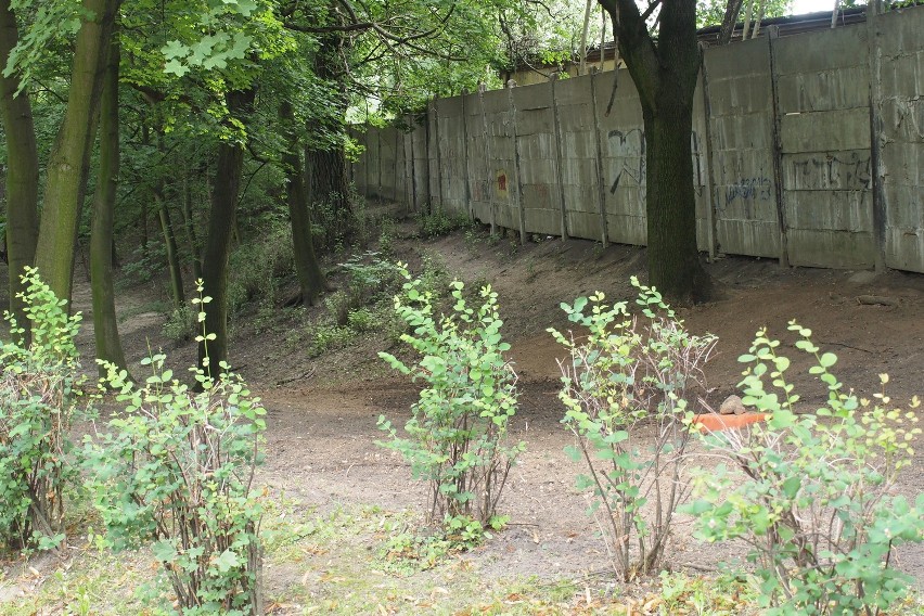 Gniezno: Pradziejowe znalezisko w Parku Miejskim