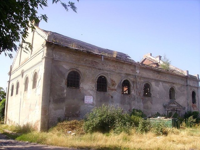 Synagoga w Żychlinie