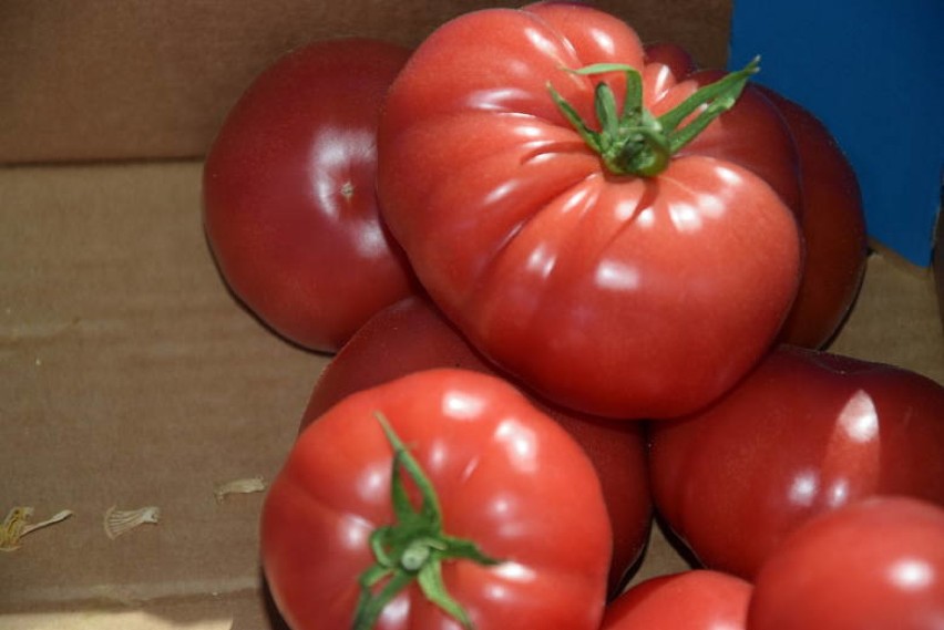 Pomidory malinówki - od 12 zł za kilogram