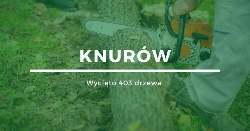 Miejsce 9: Knurów