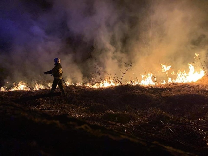Kilkanaście pożarów suchych traw. Bezmyślne zachowanie sądeczan 