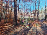 Pole zarazy i samotny grobowiec w lesie pod Gliwicami. Zobacz ZDJĘCIA To pamiątka po cmentarzu cholerycznym w Lesie Łabędzkim