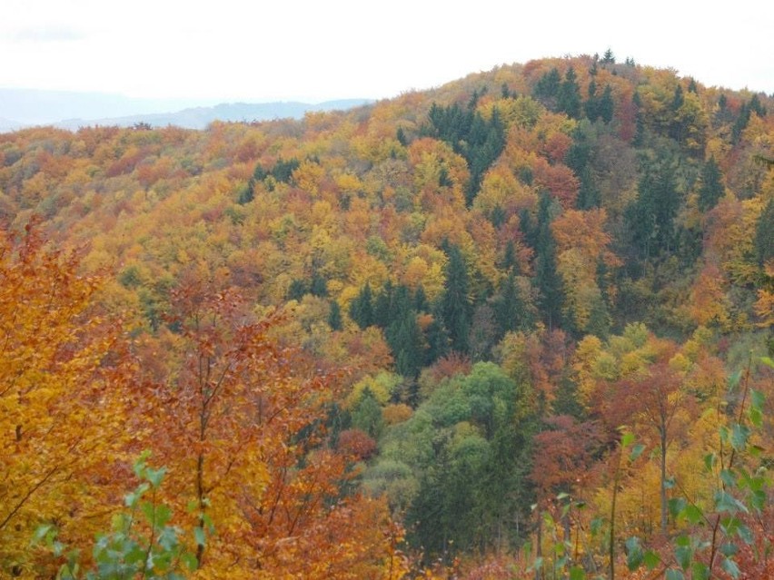 Srebrna Góra jesienią