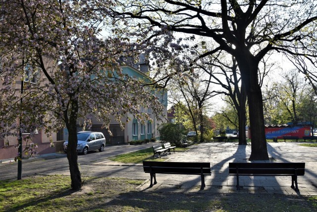 Skwer na rogu ulic Ozimskiej i Plebiscytowej w Opolu w nowej formie może być gotowy już wczesną jesienią.