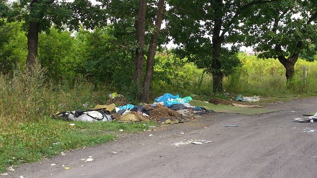 Grupa radnych, wykluczonych z klubu PO, przygotowała projekt uchwały o obniżenie opłat za wywóz śmieci w Łodzi.