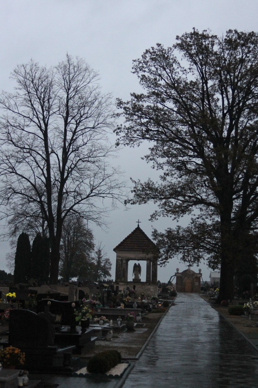Rozdrażewski cmentarz powoli zapełnia się zniczami [ZDJĘCIA]
