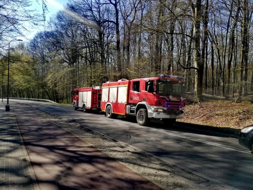 W czwartek popołudniu koszalińscy strażacy musieli gasić...