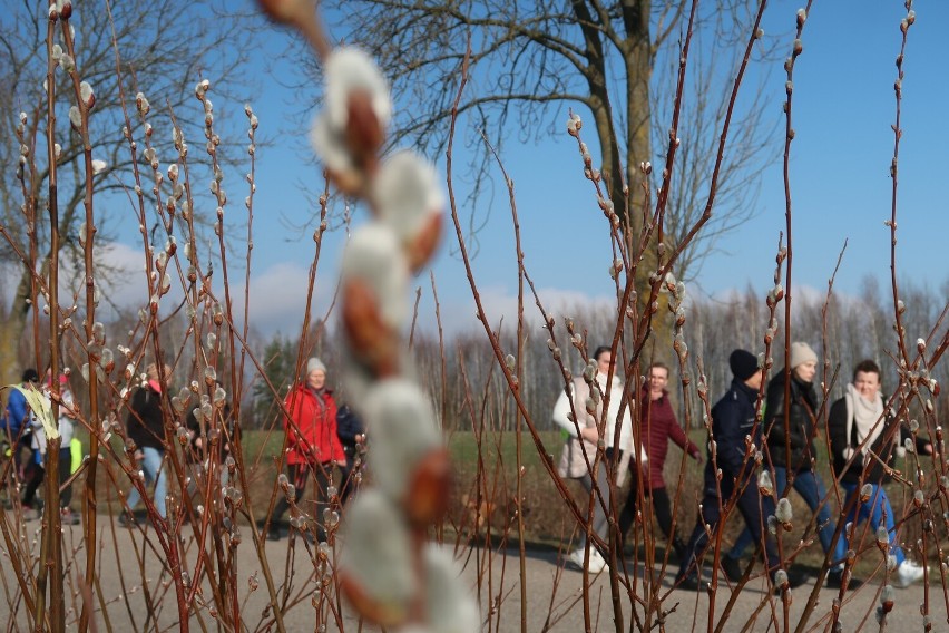 Zimowy spacer kondycyjny w wiosennej odsłonie. Mieszkańcy gminy Szudziałowo wędrowali polnymi i leśnymi trasami