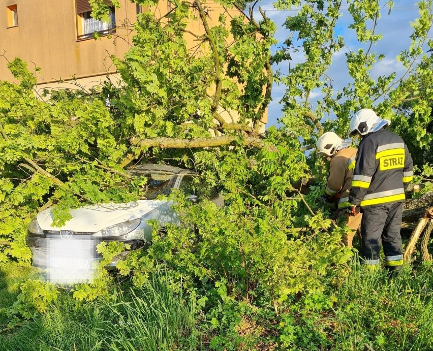 Powiat szamotulski. Negatywne skutki porywistych wiatrów [FOTO]