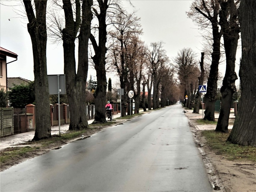 Ulica Lipowa w Wilkowicach