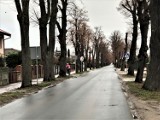 Czy będzie ograniczenie prędkości na ważnej drodze blisko Leszna? Chodzi o poprawę bezpieczeństwa w Wilkowicach