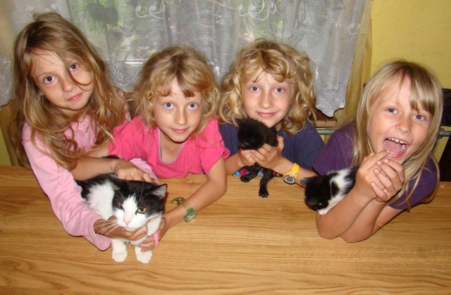 Od lewej: Klaudia (11 lat), bliźniaczki Weronika i Monika (9 lat) oraz Karolinka (8 lat) czekają na nowy dom