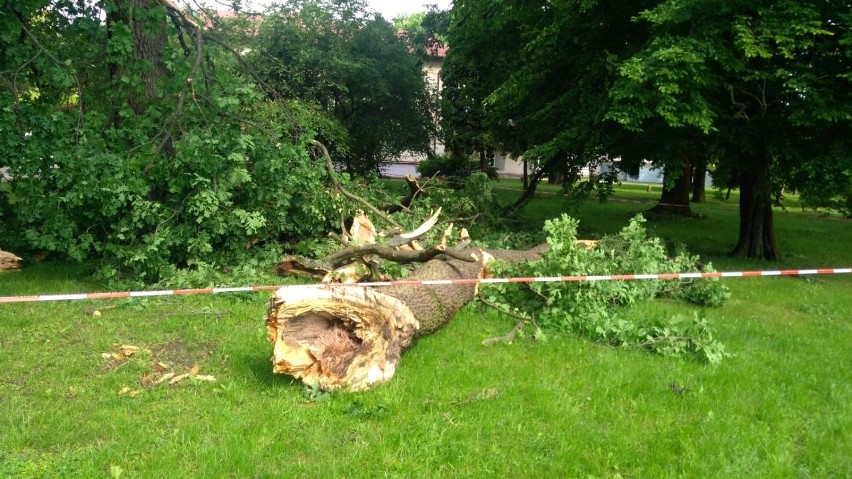 Gmina Olesno. Zerwany dach i kilka połamanych drzew. Strażacy usuwają skutki nawałnicy [ZDJĘCIA]