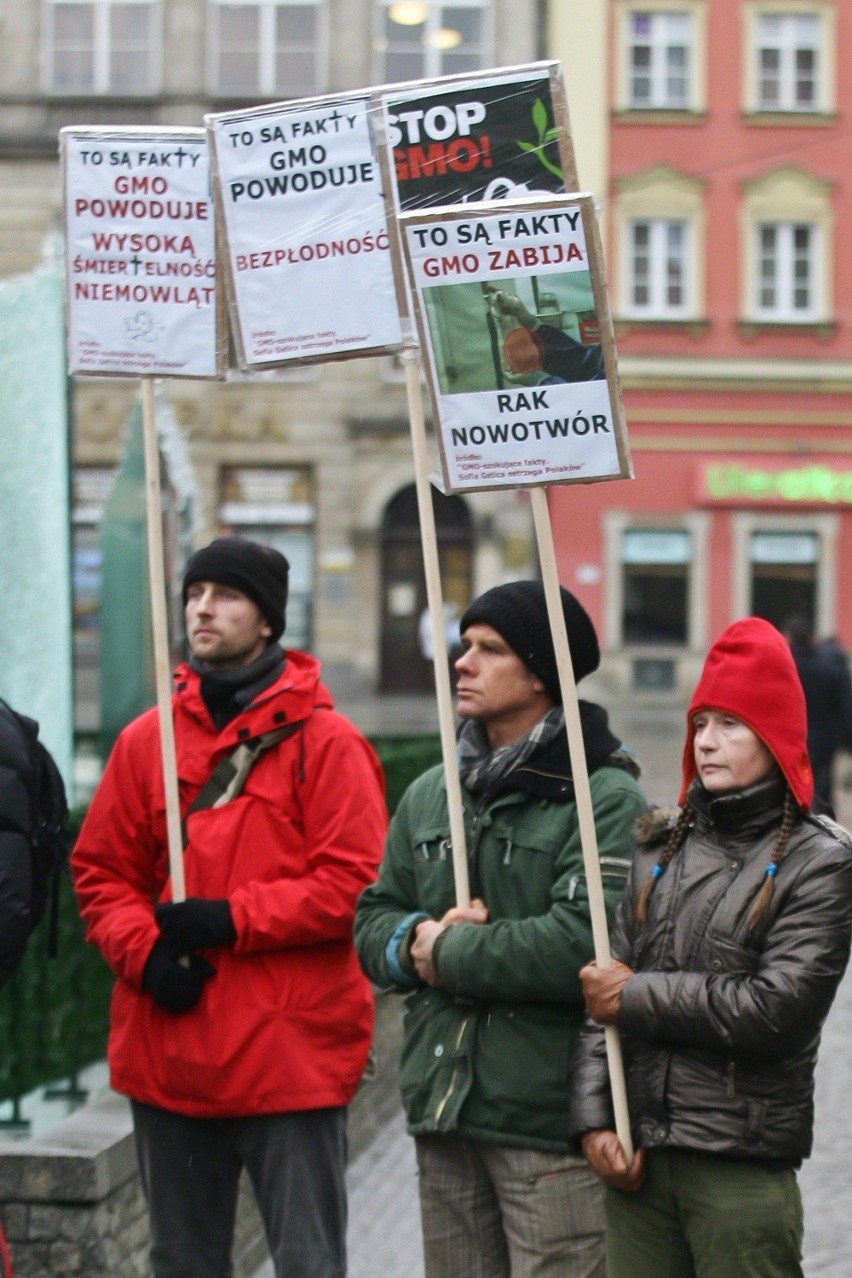 Wrocław: Zaledwie dwadzieścia osób na proteście przeciwko GMO (ZDJĘCIA)