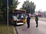 Wypadek w Ostrowcu. Autobus uderzył w drzewo. Wyglądało groźnie