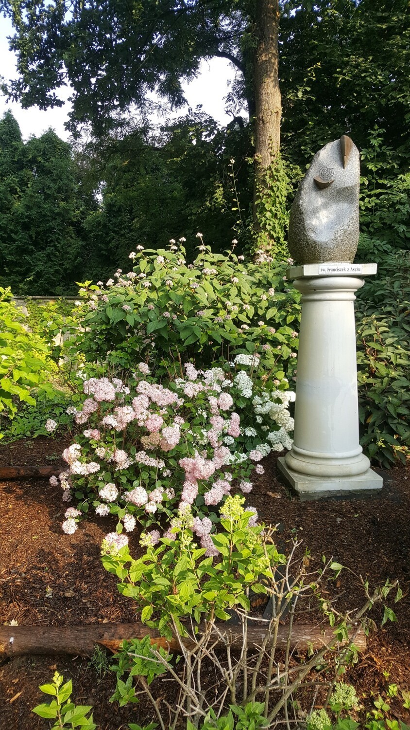 Zobacz piękne kwiaty w Arboretum w Bolestraszycach w powiecie przemyskim [ZDJĘCIA]