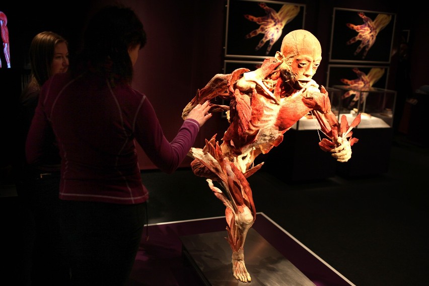 "The Human Body Exhibition" w Krakowie. Co sądzicie?

"The...