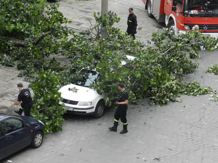 Wrocław: Drzewo spadło na samochód przy ul. Łódzkiej (ZDJĘCIA)
