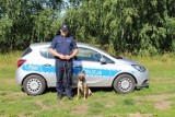 Pies policji w Pajęcznie wytropił złodziei 5 kilometrów od miejsca włamania [FOTO]