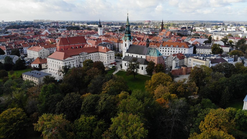 Park miejski w Kaliszu. Zobacz jak imponująco wygląda...