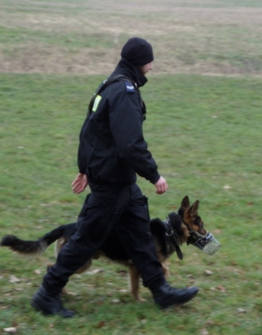 Szkolenie dla przewodników psów policyjnych