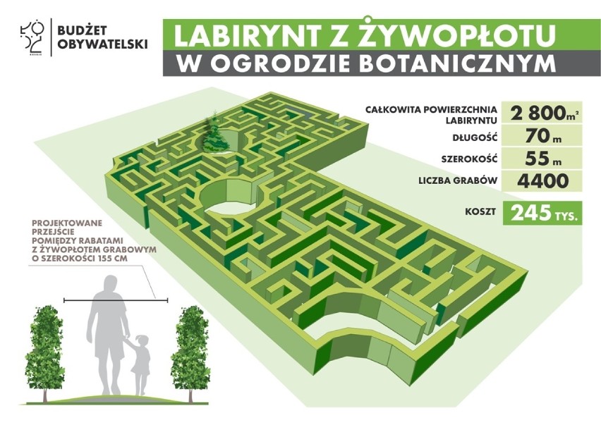 Zielony labirynt w ogrodzie botanicznym w Łodzi musi jeszcze...