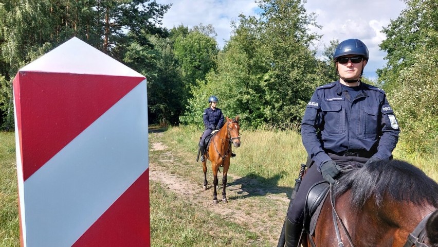 Patrole konne strzegą granicy z Białorusią. To tomaszowscy policjanci z zespołu konnego VIDEO, ZDJĘCIA