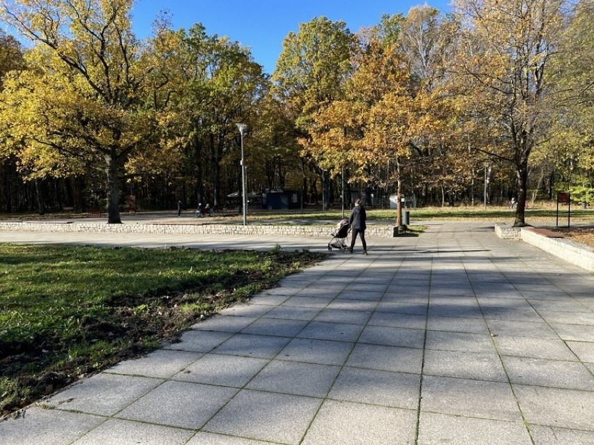Park Zielona w Dąbrowie Górniczej w jesiennych kolorach...