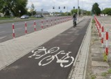 W Radomiu będą nowe ścieżki i parkingi rowerowe - miejski zarząd dróg szuka projektanta. Pieniądze będą z programu Polska Wschodnia