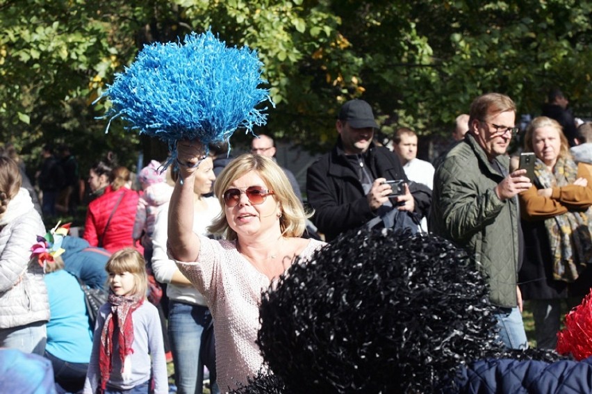 Legnicki Dzień Latawca na Polanie Angielskiej [ZDJĘCIA]