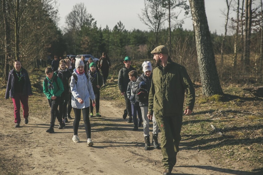 Nadleśnictwo Cewice zorganizowało Otwarte Sadzenie Lasu. Drzewka sadziła młodzież, urzędnicy, strażacy i żołnierze