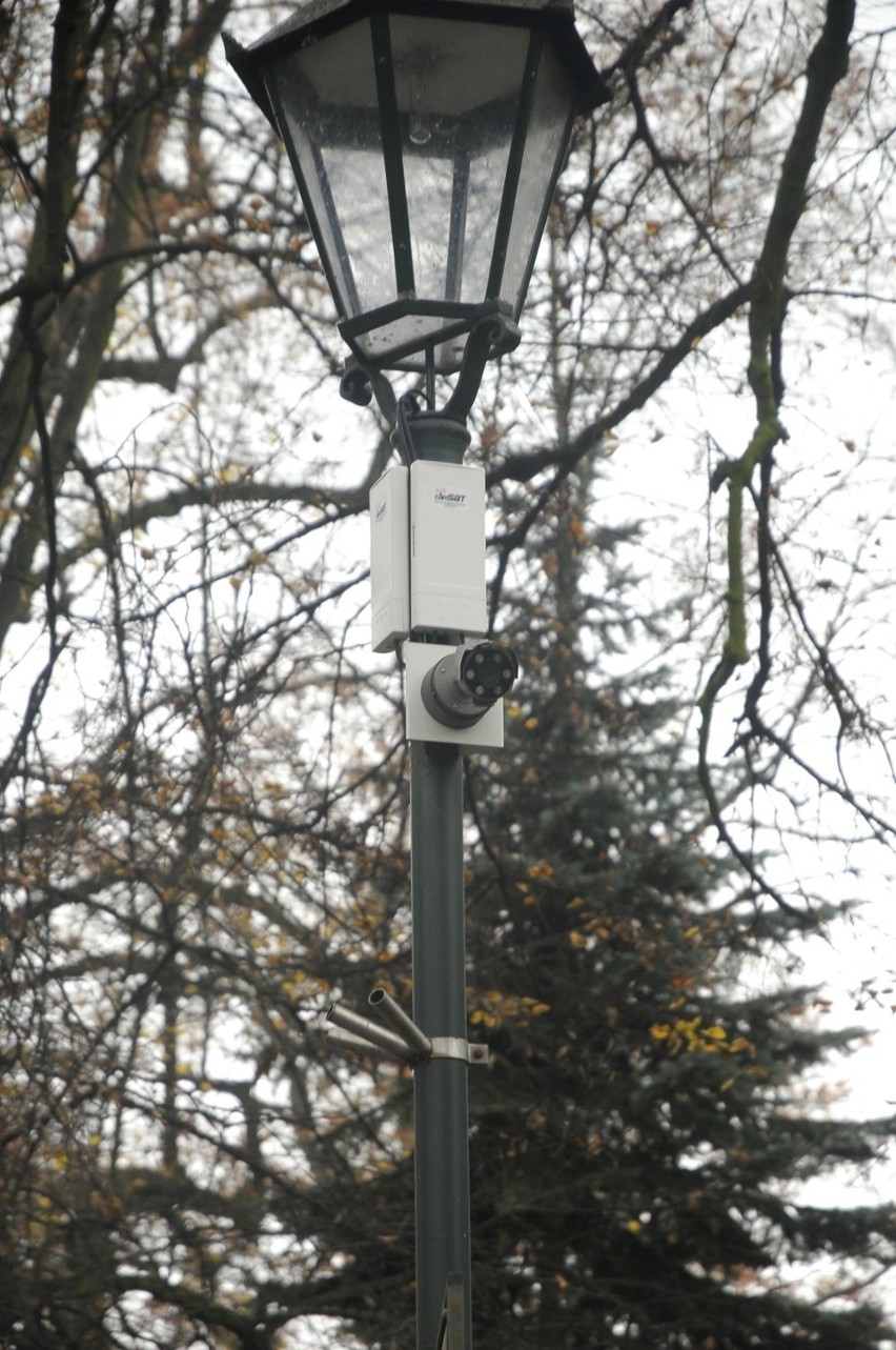 Kraków: będzie monitoring w parku Jordana [ZDJĘCIA]