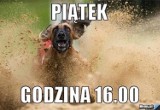 Piątek, piąteczek, piątunio! Oto ulubiona pora niemal wszystkich Polaków! [MEMY]