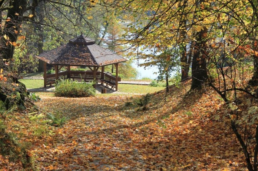 Ogród Botaniczny UMCS w Lublinie to doskonałe miejsce na...